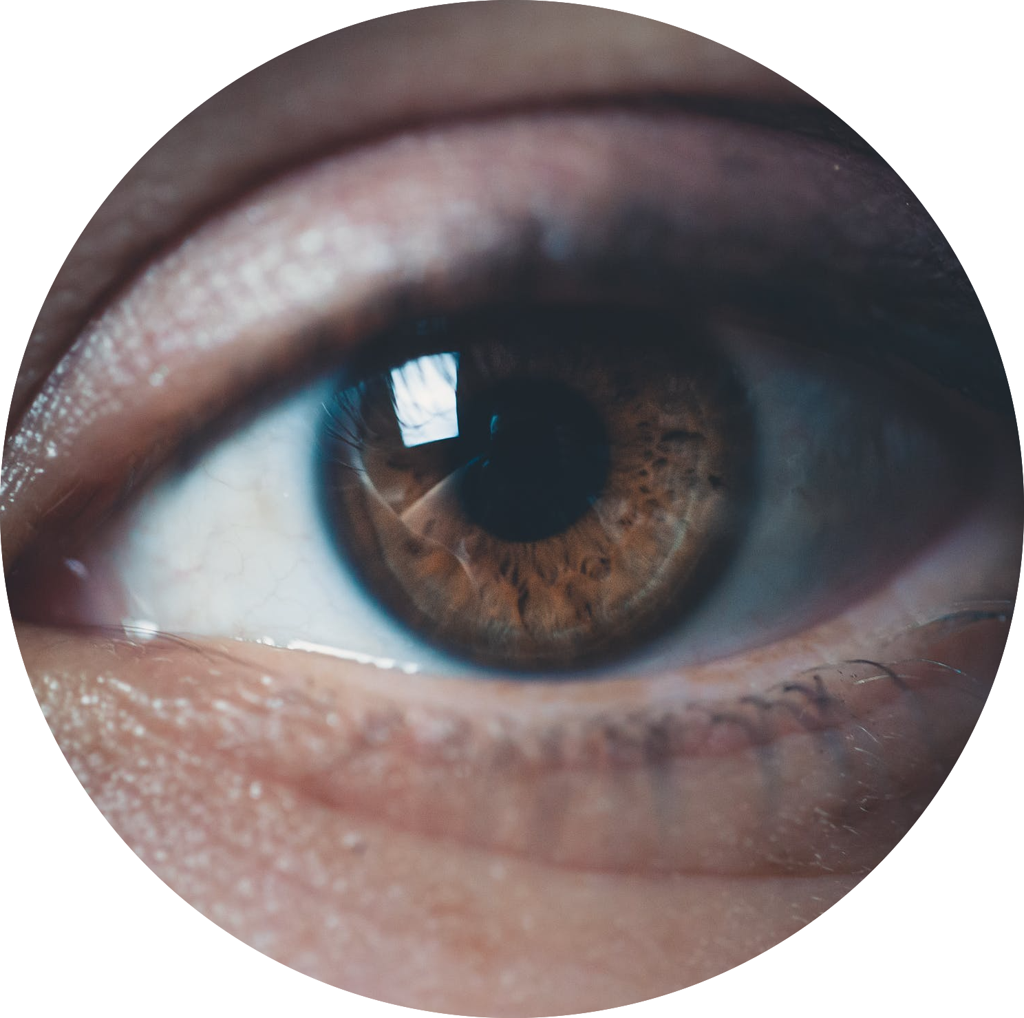 emdr